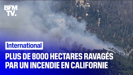 Plus de 8000 hectares ravagés par un incendie en Californie