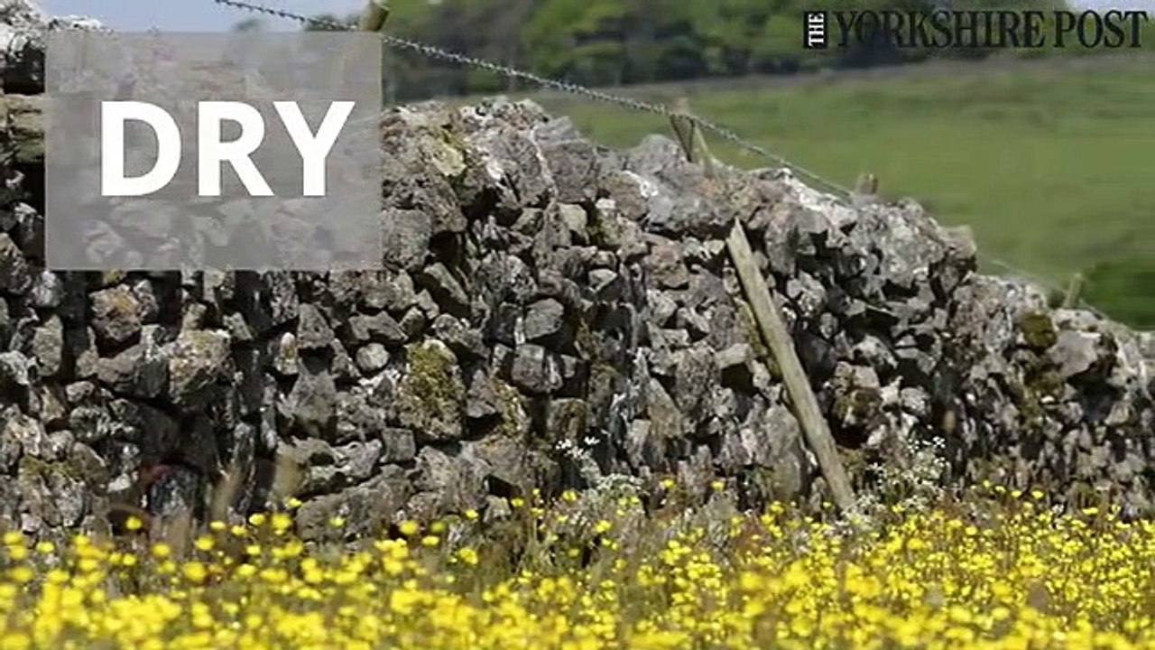 Dry Stone walling