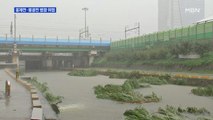 서울 16개 하천 출입통제…홍제천·불광천 한때 범람 위험 '대피경보'