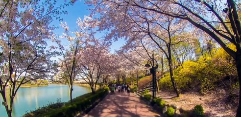 Best Asian Countries to Visit [HD Quality]