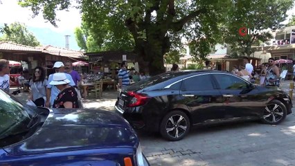 Araçların ucu bucağı yok