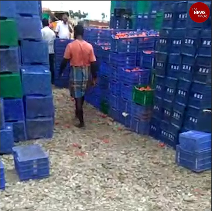 Rains spoil tonnes of fruits and vegetables at Chennai's Thirumazhisai market