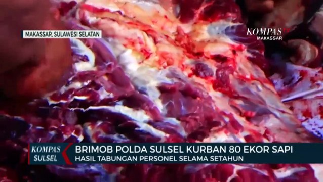 Brimob Polda Sulsel Kurban 80 Ekor Sapi, Hasil Tabungan Personel Selama Setahun