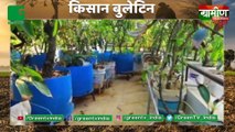 Kisan जो घर की छत पर 40 किस्मों के आम उगाता है, Joseph Francis Mango Farming On Terrace : Grameen News