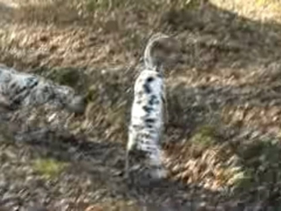 Ballade à Rambouillet 5