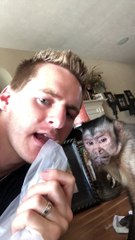 Monkey Makes Cute Faces