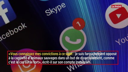 Hugo Clément veut libérer les tigres de « Fort Boyard »