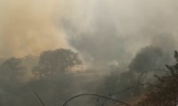 Sardegna - Incendi di vegetazione nel Nuorese (03.08.20)