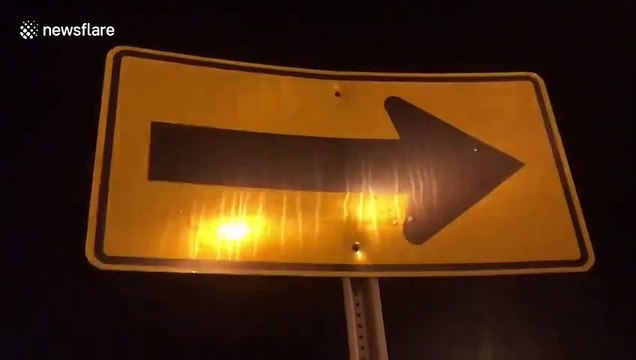Trees and roadsigns battered by strong winds as Tropical Storm Isaias approaches Florida