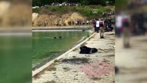 Sulama göletine giren 2 çocuk boğuldu - TOKAT