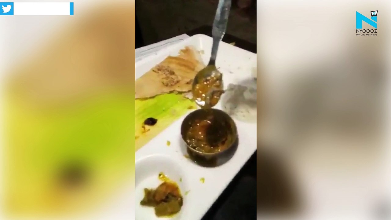 Man finds lizard in sambar at Delhi's top resta...