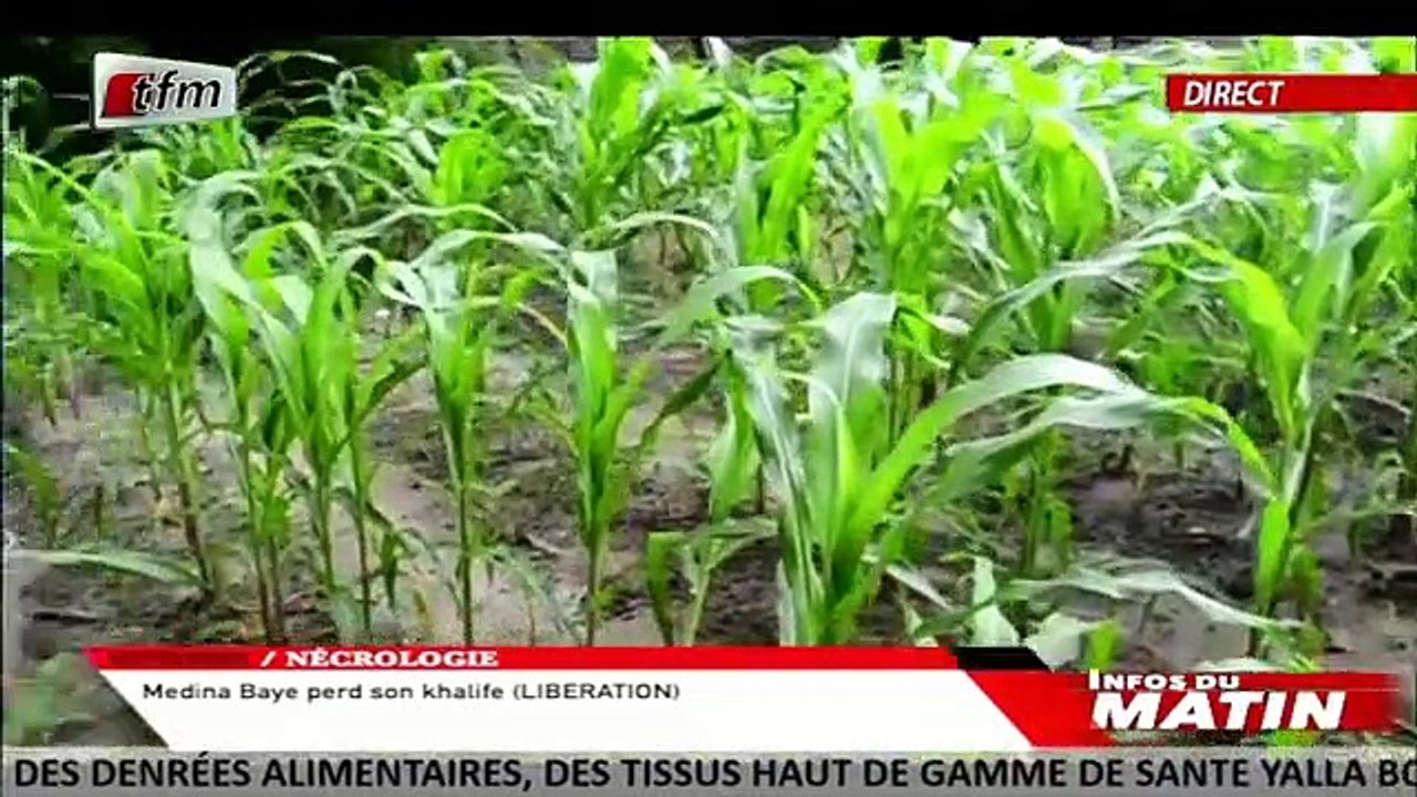 Miroir Régional dans Infos du matin avec Faty Dieng - 03 Aout 2020