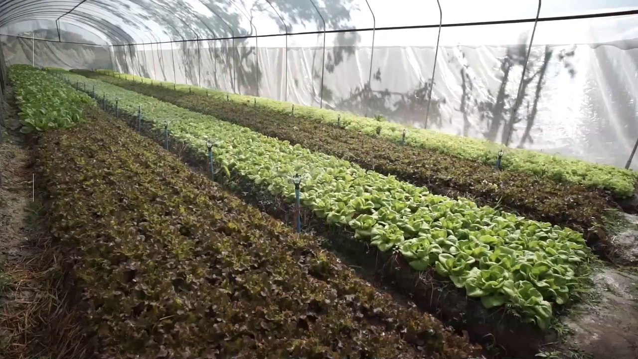 El Gobierno pide a las explotaciones agrarias que registren a sus temporeros para facilitar los rastreos