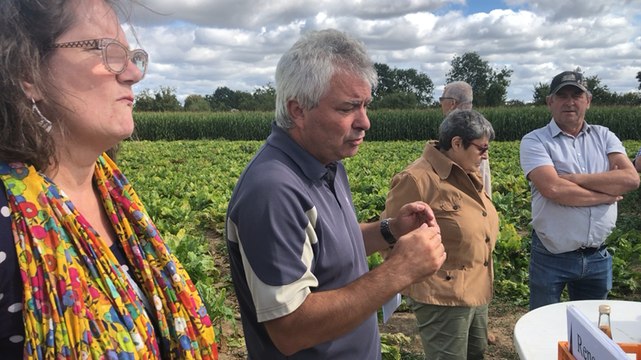 Les agriculteurs ornais inquiets face à la sécheresse