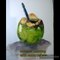 watercolor painting(coconut painting with watercolor painting)