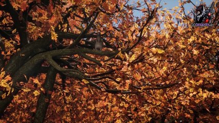 Độc Bộ Tiêu Dao Tập 17 Vietsub