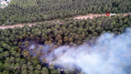 Kayışdağı'nda çıkan orman yangını kontrol altına alındı