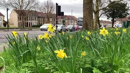 Understanding the risks of rural roads with the Farm Safety Foundation