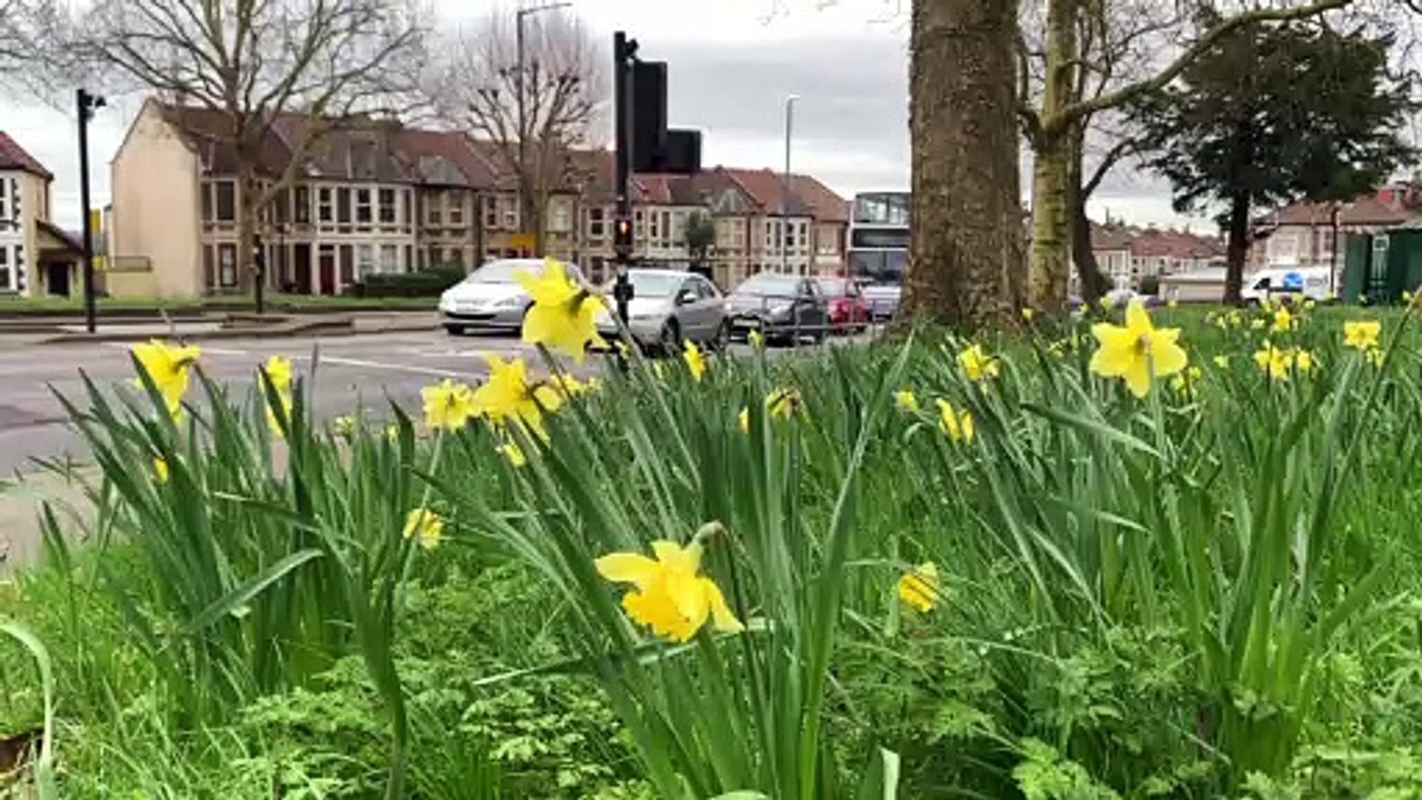 Understanding the risks of rural roads with the Farm Safety Foundation