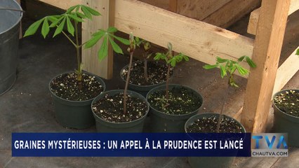 TVA Nouvelles 12H CHAU 3 août 2020