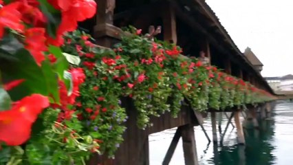 জেনে নিন কোন ঔষুধের কি কাজ    _Emergency_medicine