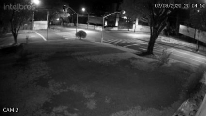 Câmera registra acidente entre carro e moto no Centro de Cascavel