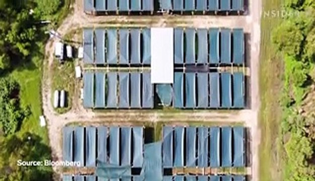 Inside America's only beluga caviar farm