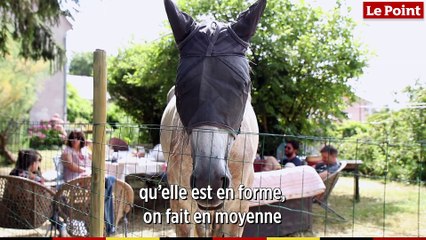 Sur les traces de Montaigne : la journée type de Gaspard Koenig