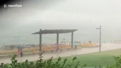 Massive storm strands pedestrians in Canada