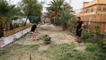 شاب عراقي يحول قطعة أرض مهجورة قرب منزله إلى حديقة عامة
