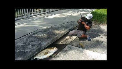 SEWER FISHING for GIANT Fish!