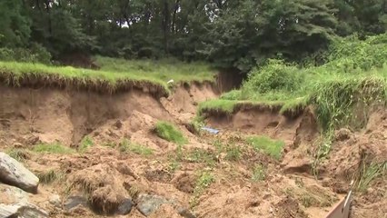 흘러내린 토사에 묫자리 유실...선친 유해 못 찾아 '막막' / YTN