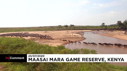 شاهد: السياح غائبون عن "هجرة الحيوانات البرية الكبرى" من تنزانيا إلى كينيا