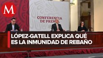 Inmunidad de rebaño no es considerada para controlar epidemia: López-Gatell