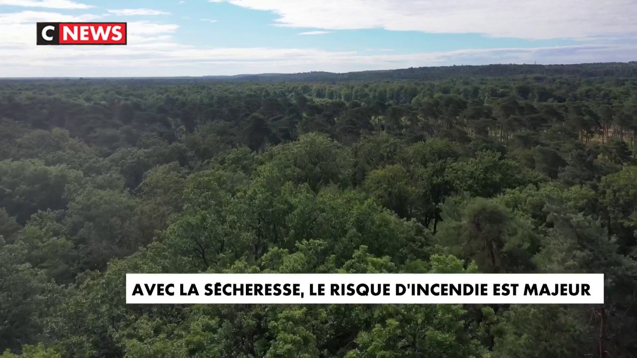 Incendies : la forêt de Fontainebleau sous surveillance des pompiers
