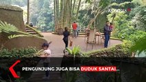 Menarik! Wisata di Tengah Hutan di Gianyar-Bali