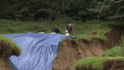 산사태에 천장까지 들어찬 토사...선친 묘까지 유실 / YTN