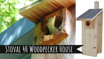 Screech Owl and Woodpecker Nest Boxes For Your Backyard