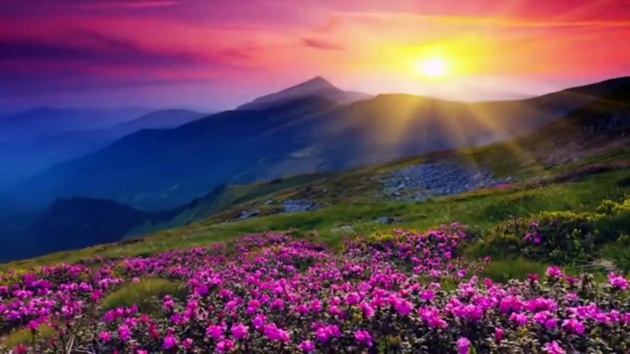 Relaxing Piano Music for Beautiful Relaxing Music, Sleep Music,Stress Relief
