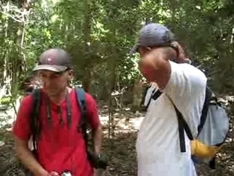 UCPA les saintes guadeloupe fevrier 2008