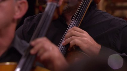 Bizet / Shchedrin : Carmen Suite