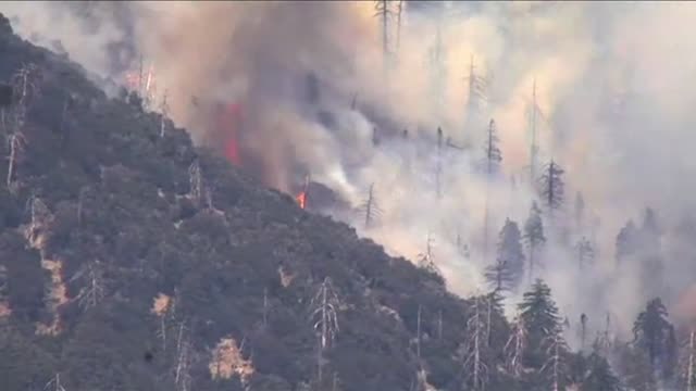 Cerca de 8.000 evacuados por un incendio forestal en California