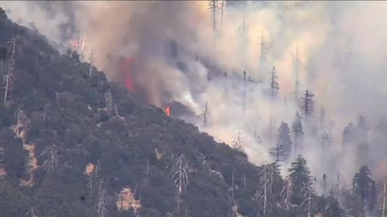 Cerca de 8.000 evacuados por un incendio forestal en California