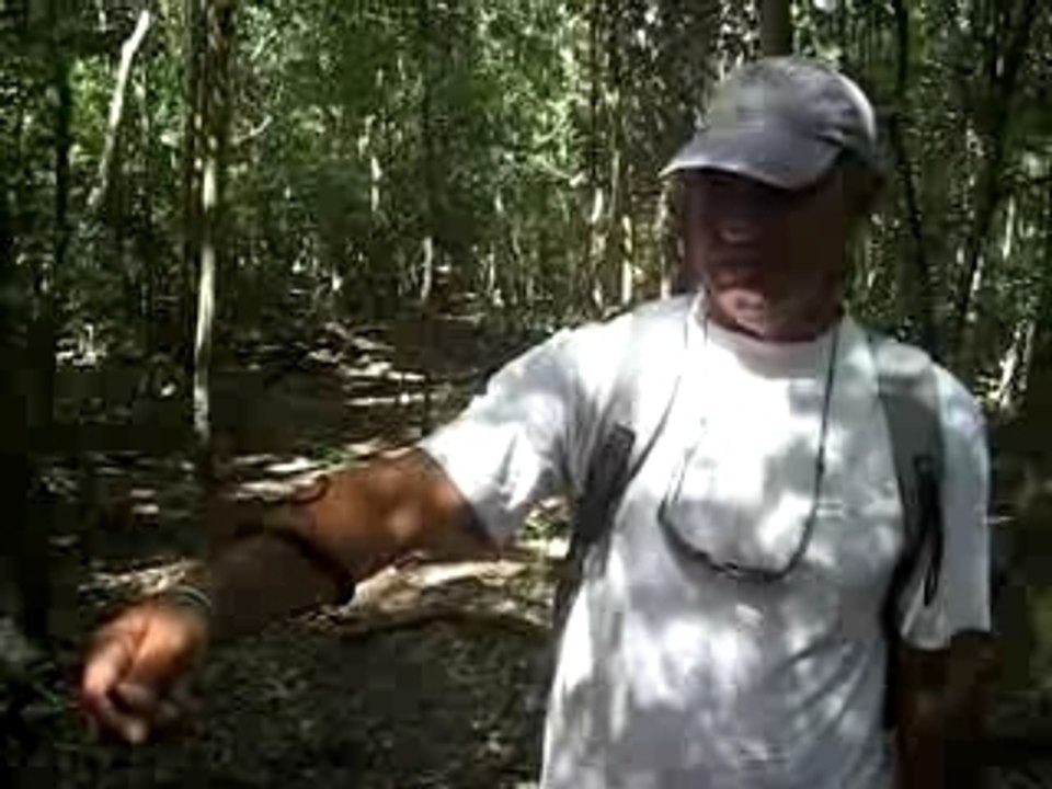 UCPA les saintes guadeloupe fevrier 2008