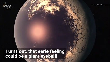 We Could Find Alien Life on Giant ‘Eyeball Planets’