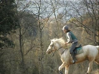 Entrainement Cross au Pouget