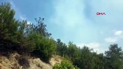 Sinop Durağan'daki orman yangınına müdahale sürüyor