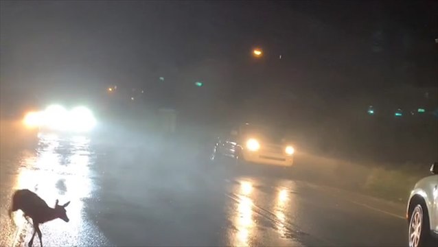 Isaias batters North Carolina coast