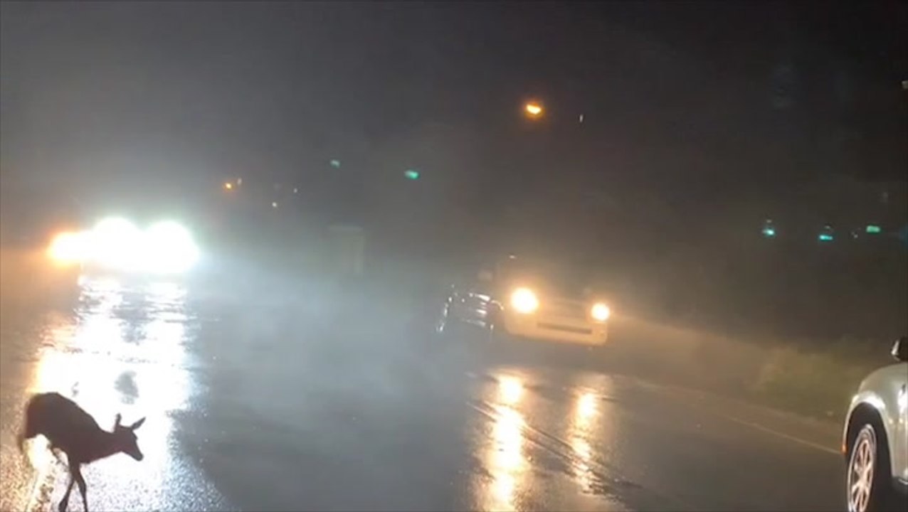 Isaias batters North Carolina coast