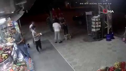 Bak sen şu psikopata! Sokak kedisi 2 köpeğe saldırdı